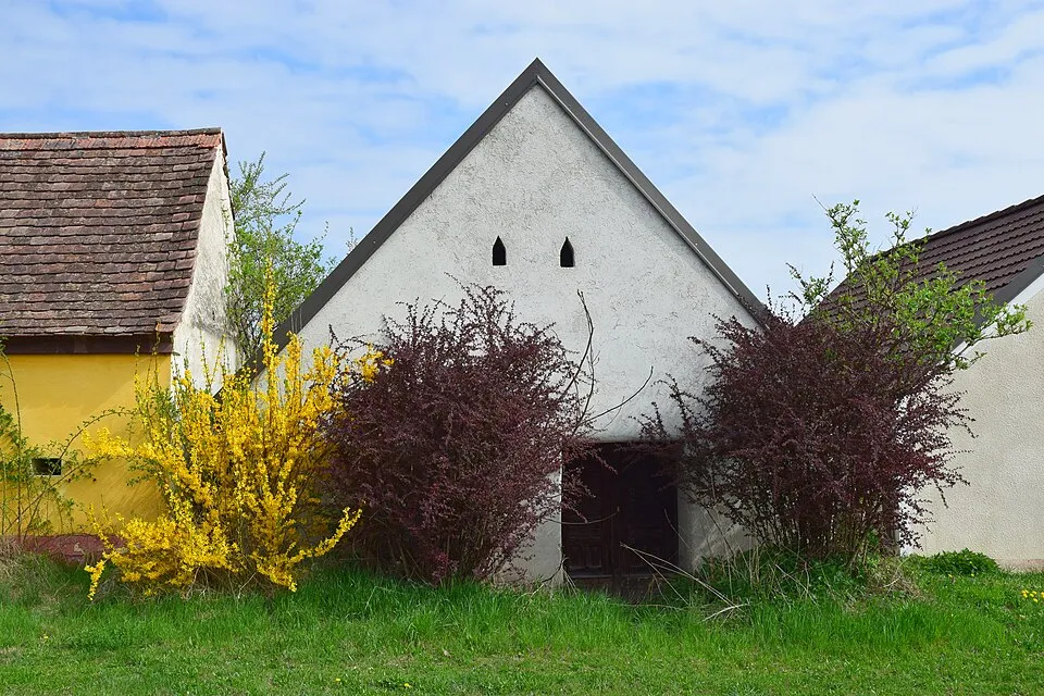 Sötétlila virágú kerti orgona / Syringa vulgaris 'Andeken an Ludwig Spath'